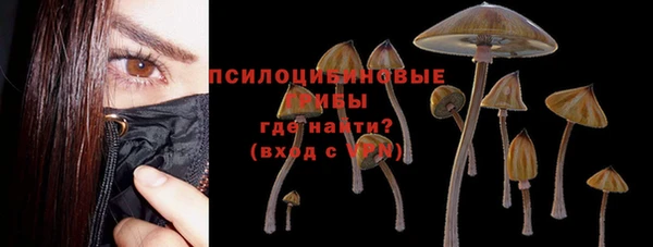 apvp Балабаново