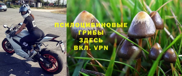 мяу мяу мука Беломорск
