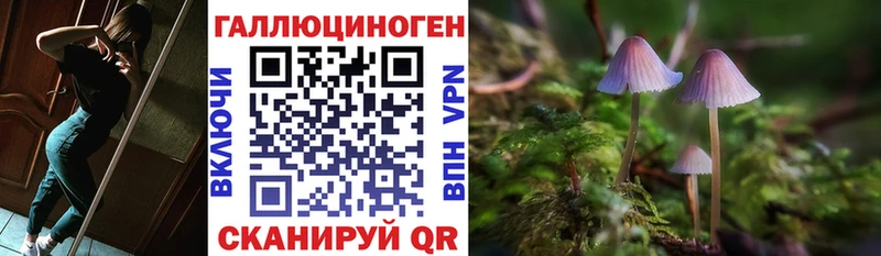 Галлюциногенные грибы прущие грибы  Купить  Копейск 